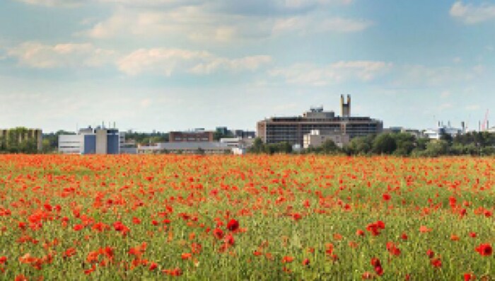 Cambridge Universiteit