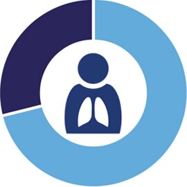 Infographie Lunoa