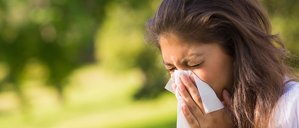 Allergènes domestiques – Types de pollen et quand les trouve-t-on ?