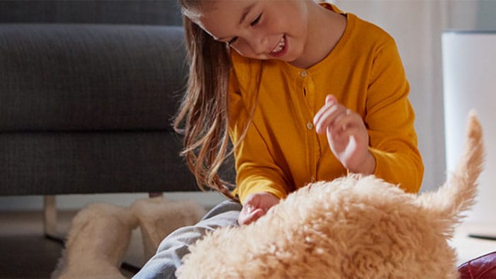 Honden- & kattenharen verwijderen in huis