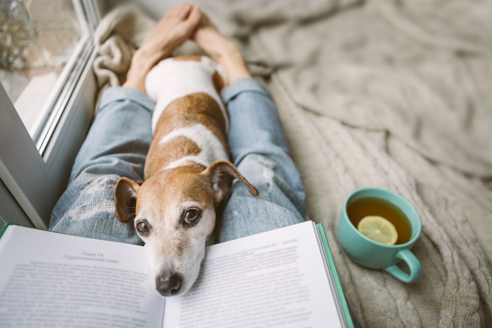 Le stress et la fatigue