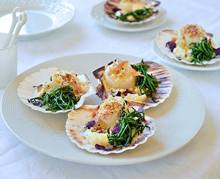 Coquilles Saint-Jacques